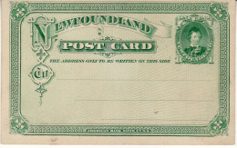 NEWFOUNDLAND 1880 POSTCARD (*) - Postwaardestukken