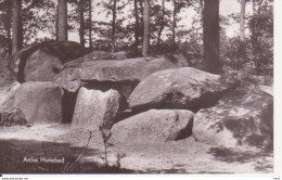 Anloo Hunebed RY16962 - Dolmen & Menhirs
