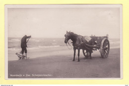 Noordwijk Aan Zee Schelpenvisser Op Strand  RY18605 - Noordwijk (aan Zee)