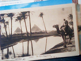 EGYPT CAIRO CAMMELLO E PIRAMIDI  V1927 JM2016 - Piramiden