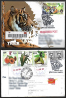 India 2023 International Tiger Day, Endangered, Animal, Panthera Tigris, Registered Cover (**) Inde Indien - Sonstige & Ohne Zuordnung