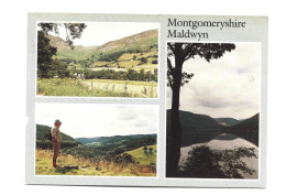 Wales Montgomeryshire Maldwyn Photo Card Htje - Montgomeryshire