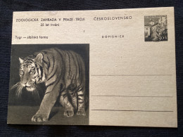 1956 CDV 130 Zoo De Prague ** Tigre - Ansichtskarten