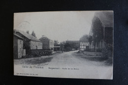 P-B 38 / Liège - Vallée De L'Amblève - Borgoumont - Route De La Gleize   / 190? - Ambleve - Amel