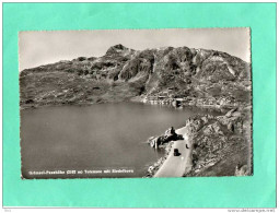 GRIMSEL PASSHOHE TOTENSEE MIT SIEDELHORN - Horn