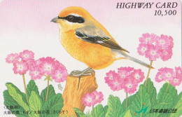 Carte JAPON - Série PEINTURE OISEAU & FLEUR - PIE GRIECHE - ANIMAL SHRIKE BIRD JAPAN Highway Ticket Card - HW 5816 - Sperlingsvögel & Singvögel