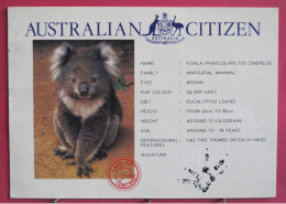 Visuel Très Peu Courant - Australie - Marsupial Passport - Koala - Autres & Non Classés