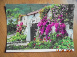 Canary Islands. The Entrance To A Country Residence, Beautifully Decorated With Shrubs And Flowers. Hinde 2CTG163 - Andere & Zonder Classificatie