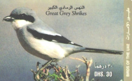 United Arab Emirates:Used Phonecard, 30 DHS., Bird, Great Grey Shrikes - Passereaux