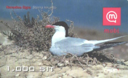 Slovenia:Used Phonecard, Mobi, 1000 SIT. Bird, Sterna Hirundo, 2005 - Autres & Non Classés