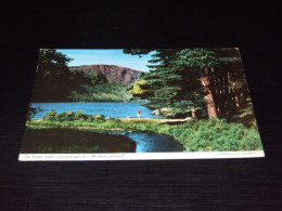 64101         IRELAND,  THE UPPER LAKE, GLENDALOUGH, CO. WICKLOW - Kerry