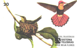 Brazil:Brasil:Used Phonecard, Sistema Telebras, 20 Units, Bird, Chrysolampis Mosquitus, 1997 - Pájaros Cantores (Passeri)