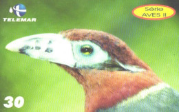 Brazil:Brasil:Used Phonecard, Telemar, 30 Credits, Bird Selenidera Macullirostris, 2001 - Songbirds & Tree Dwellers