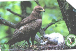 Poland:Used Phonecard, Telekomunikacja Polska S.A., 50 Units, Bird, Eagle - Aigles & Rapaces Diurnes