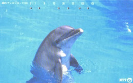 Japan:Used Phonecard, NTT, 105 Units, Dolphin - Dauphins