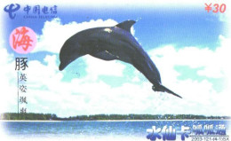 China:Used Phonecard, China Telecom, 30 Y, Jumping Dolphin - Delfines