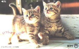 Japan:Used Phonecard, NTT, 105 Units, Cat, Kittens - Cats