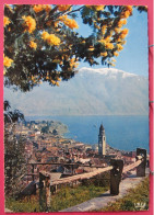 Suisse - Ascona - Lago Maggiore - Primavera Con Mimose - Ascona