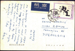 CHINA - KINA - GIANT PANDA On AIRMAIL - 1973 - Brieven En Documenten