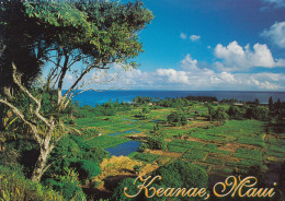 Keanae Maui Hawaii, Road To Hana, C2000s Vintage Postcard - Maui