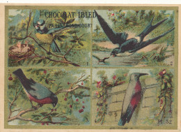  CHROMO  6 CHROMOS  -CHOCOLAT IBLED  LES  OISEAUX  LES MAMMIFERES   LES CETACES  LES POISSONS    - Ibled