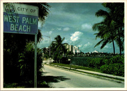 Florida West Palm Beach Tree LIned Boulevard - West Palm Beach