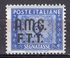 Z6928 - TRIESTE AMG-FTT TASSE SASSONE N°10 ** - Postage Due