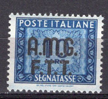 Z6930 - TRIESTE AMG-FTT TASSE SASSONE N°12 ** - Postage Due