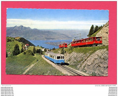 CPSM Petit Modèle (Réf : B 898) RIGI Vitznau Und Arth-Rigi-Bahn Mit Rigi-Staffel (SUISSE) (avec Train) - Arth