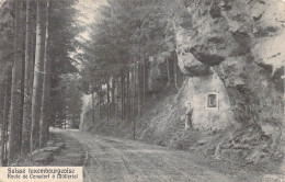 LUXEMBOURG - Route De Consdorf à Mullertal - Suisse Luxembourgeoise - Carte Postale Ancienne - Muellerthal