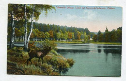 AK 154328 GERMANY - Silberteich / Neuer Teich Bei Gernrode - Suderode / Ostharz - Unterharz