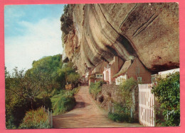 24 - LES EYZIES - Station Préhistorique - Musée De Laugerie-Basse - Les Eyzies