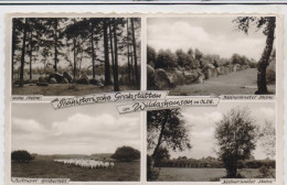 HÜNENGRAB / DOLMEN / MENHIR, Wildeshausen, Sieben Steine / Kleinknetener Steine / Pestruper Gräberfeld - Dolmen & Menhirs