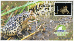 USA 2023 Wyoming Toad, Endangered Species, Reptile,Frog, ,Pictorial Postmark, FDC Cover (**) - Storia Postale