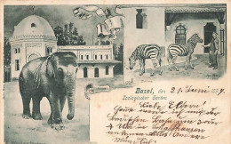 Litho 1899 Basel Zoologischer Garten Elefant  Zebras Elefantenhaus Zebra Elephant Zèbres - Basel