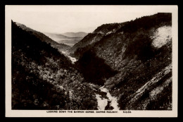 Looking Down The Barron Gorge, Cairns Railway - Cairns