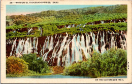 Idaho Thousand Springs On The Old Oregon Trail 1944  - Otros & Sin Clasificación