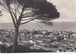 CARTOLINA  PORTO S.GIORGIO,FERMO,MARCHE-PANORAMA-STORIA,MEMORIA,CULTURA,RELIGIONE,BOLLO STACCATO,VIAGGIATA - Fermo