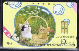 Télécartes Carte Telephonique Phonecard Japon Japan  Telecarte Theme Chat - Katten