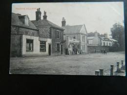 THORPE VILLAGE - Norwich