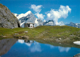 Switzerland Lammernhutte Rinderhorn Bietschhorn - Horn