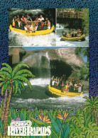 3 AK USA / Florida * Busch Gardens In Tampa -- Congo River Rapids - Koalas - Tanganyika Tidal Wave * - Tampa
