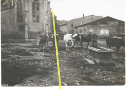 55 338 WW1 WK1 VIGNEULLES EGLISE FONTAINE TROUPEAU OCCUPATION ALLEMANDE 1914 / 1918 - Vigneulles Les Hattonchatel