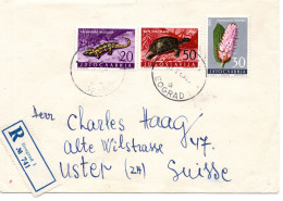 69247 - Jugoslawien - 1963 - 50Din Schildkroete MiF A R-Bf BEOGRAD -> Schweiz - Lettres & Documents