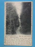 Thuin Avenue Des Sapins (D.V.D. 5723) - Thuin