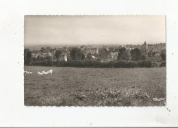 PREVERANGES (CHER) CARTE PHOTO VUE GENERALE (EGLISE CHATEAU HABITATIONS) - Préveranges