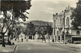 Pays Div-ref  DD586- Algerie -tizi Ouzou -boulevard  Baupretre Et Banque De L Algerie /a Circulé En 1951 - Tizi Ouzou