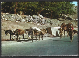 AFGHANISTAN. Carte Postale Ayant Circulé. Salang Pass. - Afghanistan