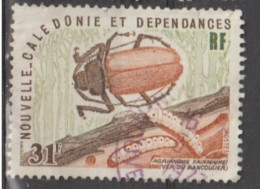 NOUVELLE -CALEDONIE -  Faune - Insecte - Agrianome Faiemairei (Ver De Bancoule) -Coléoptére - Used Stamps