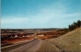 Canada Newfoundland Conception Bay Peninsula Cows Strolling Up #3 Highway At South River - Andere & Zonder Classificatie